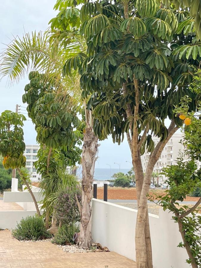Tonia Seaview Villas Protaras Eksteriør billede
